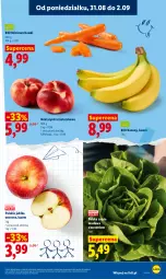 Gazetka promocyjna Lidl - Gazetka ważna od 31.08 do 2.09 - Gazetka - ważna od 02.09 do 02.09.2026 - strona 41 - produkty: Banany, Sałata masłowa, Sałat, Masło, Nektar, Jabłka
