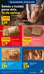 Gazetka promocyjna Lidl - Gazetka ważna od 31.08 do 2.09 - Gazetka - ważna od 02.09 do 02.09.2026 - strona 47 - produkty: Por, Mus, Rust, Chleb typu włoskiego, Chleb, Bułka