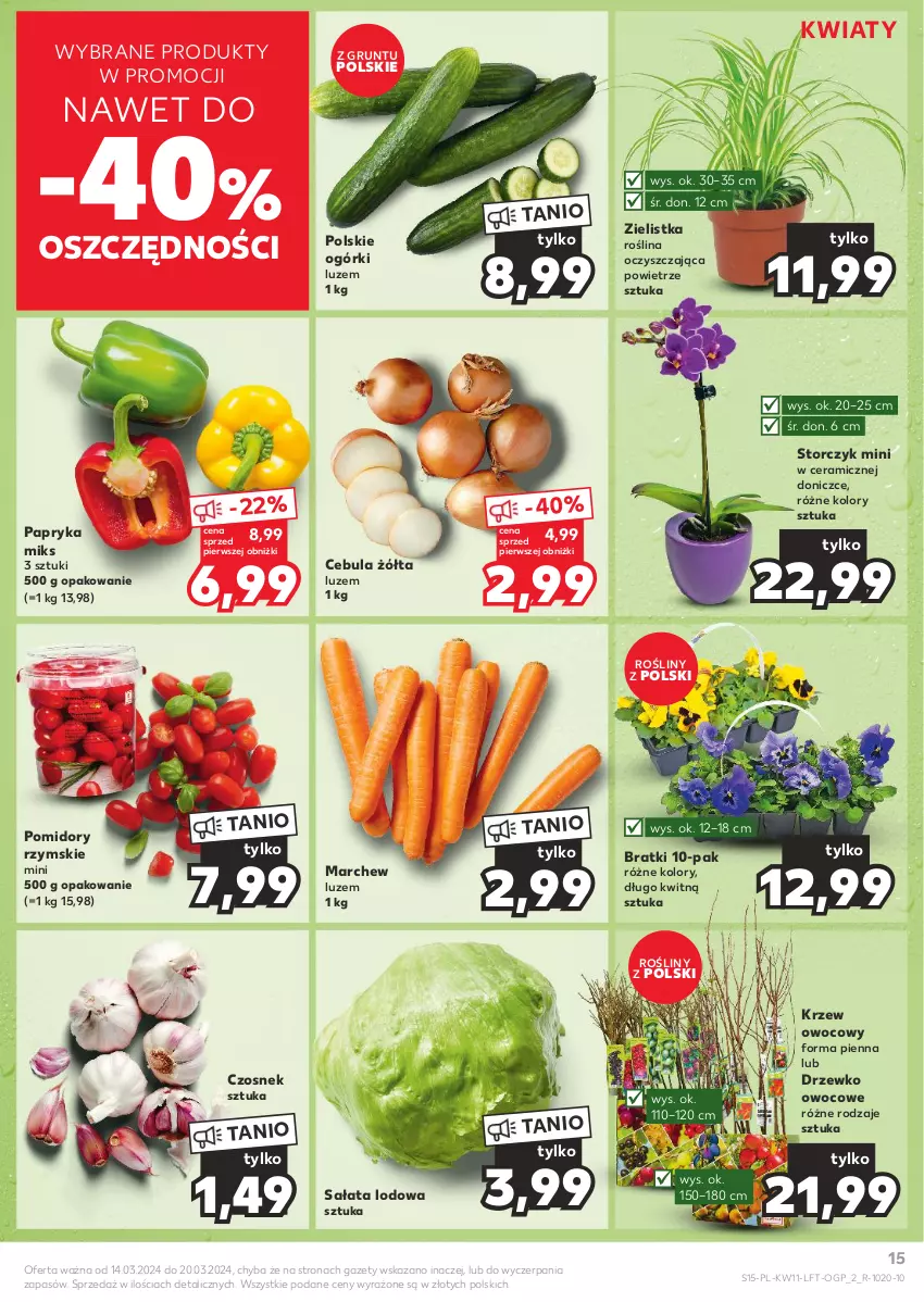 Gazetka promocyjna Kaufland - Gazetka tygodnia - ważna 14.03 do 20.03.2024 - strona 15 - produkty: Cebula, Czosnek, Grunt, Papryka, Pomidory, Sałat, Sałata lodowa, Storczyk