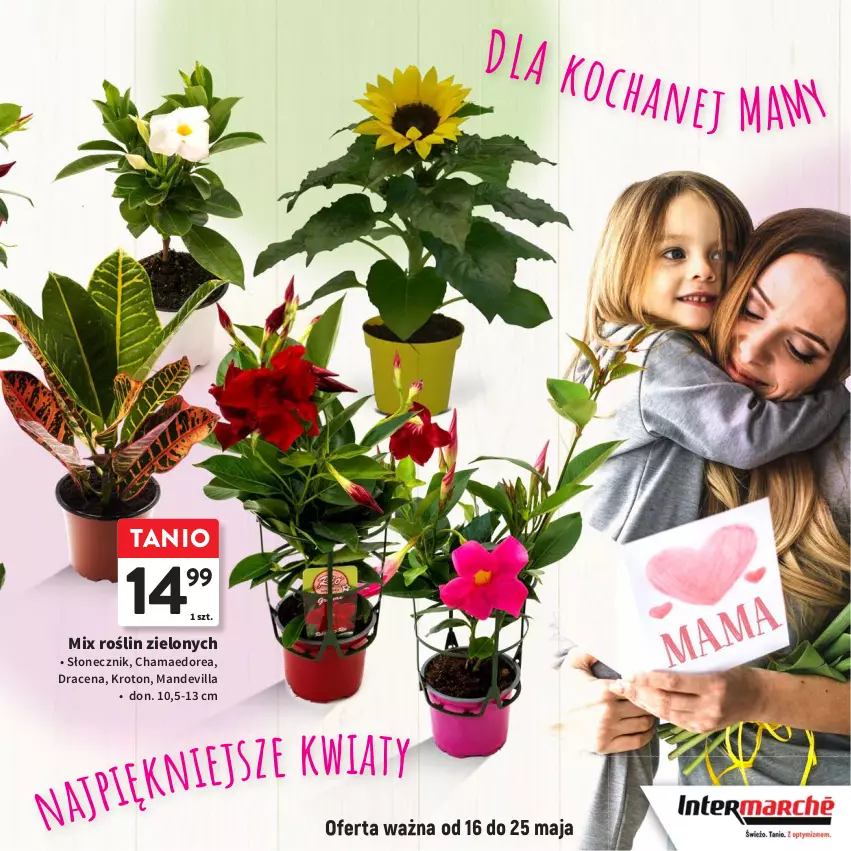 Gazetka promocyjna Intermarche - Gazetka Intermarche - ważna 16.05 do 05.06.2024 - strona 23 - produkty: Hama