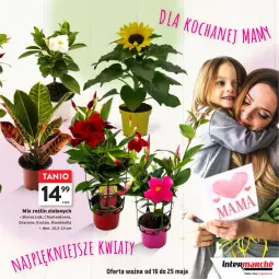 Gazetka promocyjna Intermarche - Gazetka Intermarche - Gazetka - ważna od 05.06 do 05.06.2024 - strona 23 - produkty: Hama