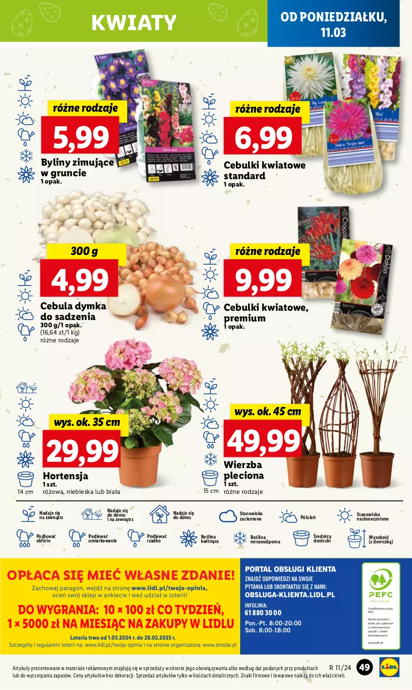 Gazetka promocyjna Lidl - GAZETKA - ważna 11.03 do 13.03.2024 - strona 57 - produkty: Cebula, Cień, O nas, Por, Sok