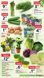 Gazetka promocyjna Intermarche - Gazetka Intermarche - Gazetka - ważna od 30.03 do 30.03.2024 - strona 25 - produkty: Tulipan, Róża, Rzeżucha, Ogórek, Kalanchoe, Sałat, Narcyz, Natka pietruszki, Fa