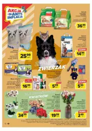 Gazetka promocyjna Carrefour - Gazetka - ważna od 27.08 do 27.08.2023 - strona 2 - produkty: Gin, Vitakraft, Róża, Zabawka, Storczyk, Bukiet, Cat's Best