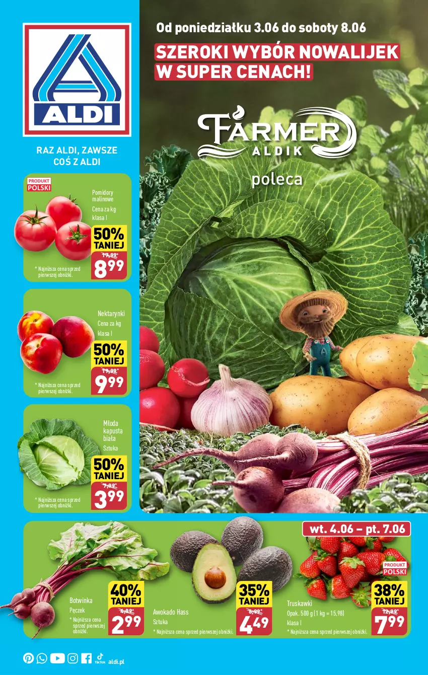 Gazetka promocyjna Aldi - Farmer ALDIK poleca świeże owoce i warzywa - ważna 03.06 do 08.06.2024 - strona 1 - produkty: Inka, Nektar, Pomidory, Truskawki