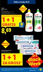Gazetka promocyjna Lidl - GAZETKA - Gazetka - ważna od 26.11 do 26.11.2025 - strona 11 - produkty: Ludwik, Gra, Lack, Sensodyne
