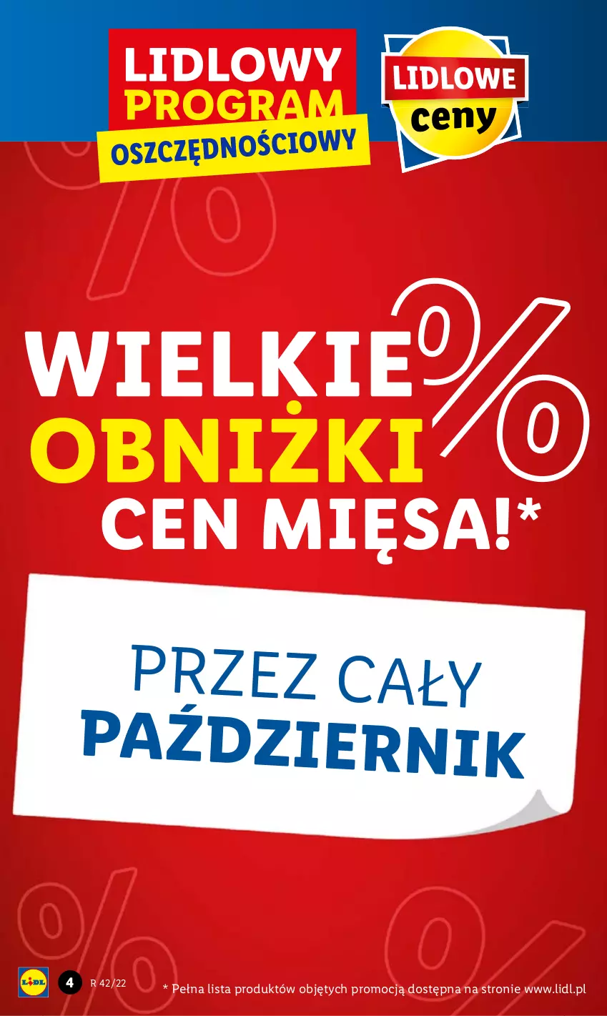 Gazetka promocyjna Lidl - GAZETKA - ważna 20.10 do 22.10.2022 - strona 4