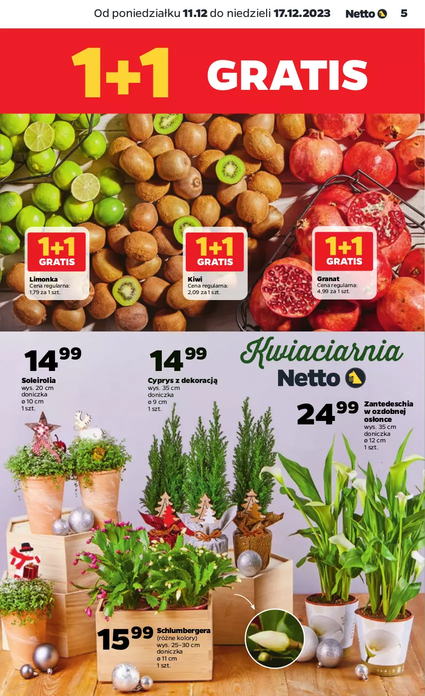 Gazetka promocyjna Netto - Artykuły spożywcze - ważna 11.12 do 17.12.2023 - strona 5 - produkty: Chia, Gra, Granat, Kiwi, Limonka