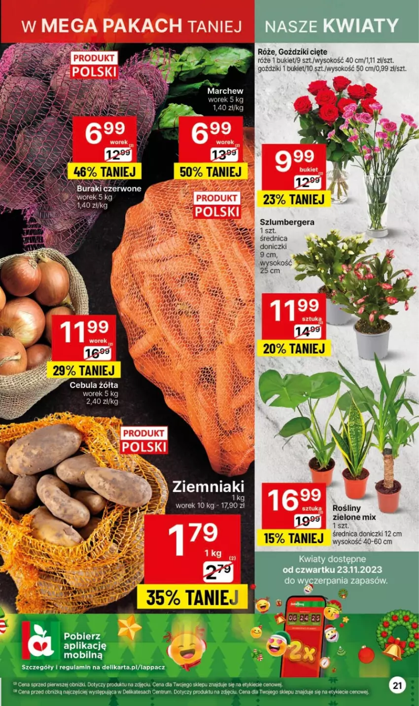 Gazetka promocyjna Delikatesy Centrum - Gazetka DC46 czw-sr - ważna 23.11 do 29.11.2023 - strona 21 - produkty: Bukiet, Buraki, Cebula, Mobil, Rum, Sok, Szlumbergera, Ziemniaki