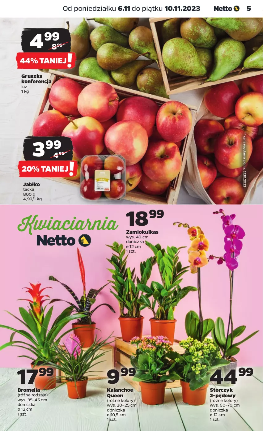 Gazetka promocyjna Netto - Artykuły spożywcze - ważna 06.11 do 10.11.2023 - strona 5 - produkty: Bromelia, Kalanchoe, Storczyk