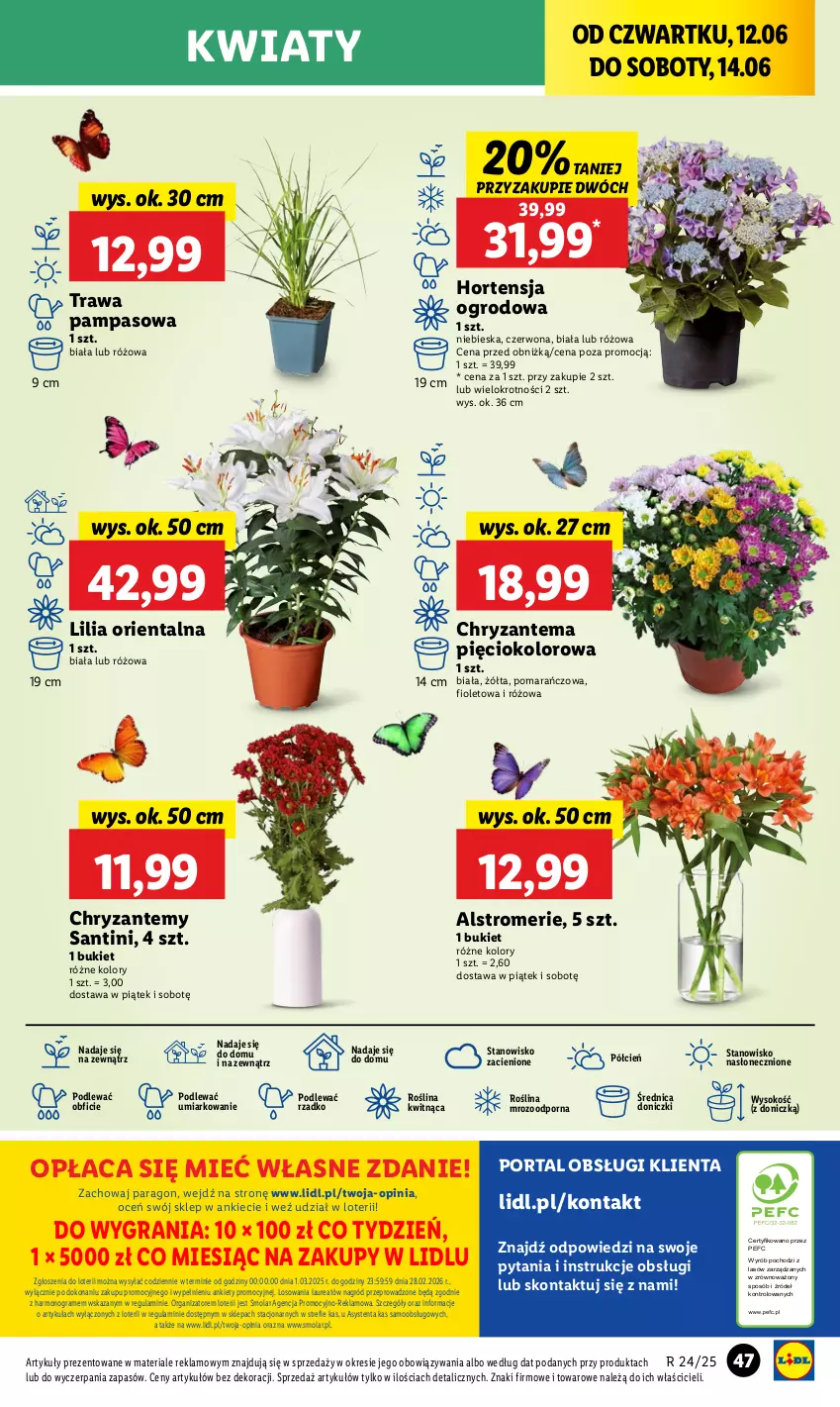 Gazetka promocyjna Lidl - GAZETKA - ważna 12.06 do 14.06.2025 - strona 57 - produkty: Chryzantema, Cień, Gra, Laur, Mola, O nas, Por, Sok
