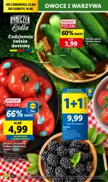 Gazetka promocyjna Lidl - GAZETKA - Gazetka - ważna od 14.06 do 14.06.2025 - strona 20 - produkty: Warzywa, Gra, Jeżyny, Owoce, Pomidory
