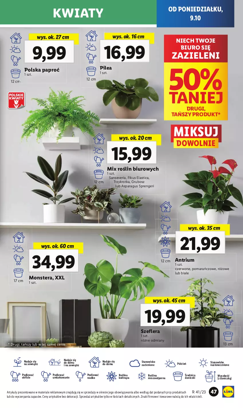 Gazetka promocyjna Lidl - GAZETKA - ważna 09.10 do 11.10.2023 - strona 51 - produkty: Biuro, Cień, Fa, O nas, Por, Sok, Tera