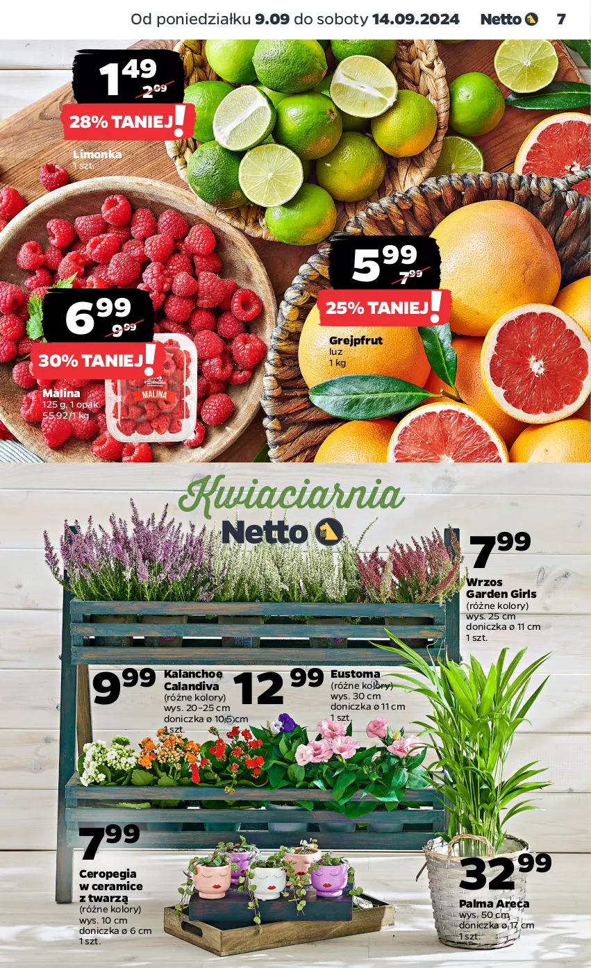 Gazetka promocyjna Netto - Artykuły spożywcze - ważna 09.09 do 14.09.2024 - strona 7 - produkty: Grejpfrut, Kalanchoe, Limonka, Palma