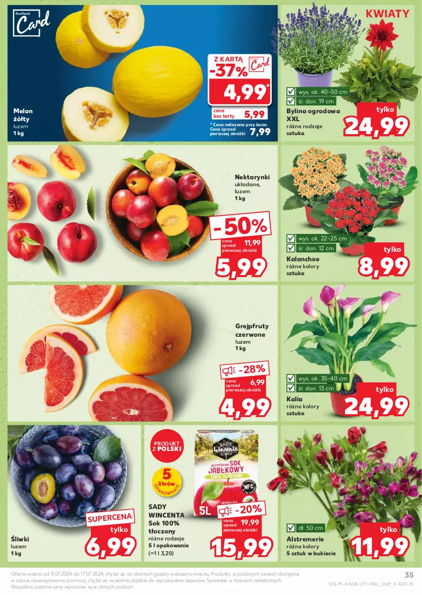 Gazetka promocyjna Kaufland - Gazetka tygodnia - ważna 11.07 do 17.07.2024 - strona 35 - produkty: Grejpfrut, Kalanchoe, Melon, Nektar, Sok