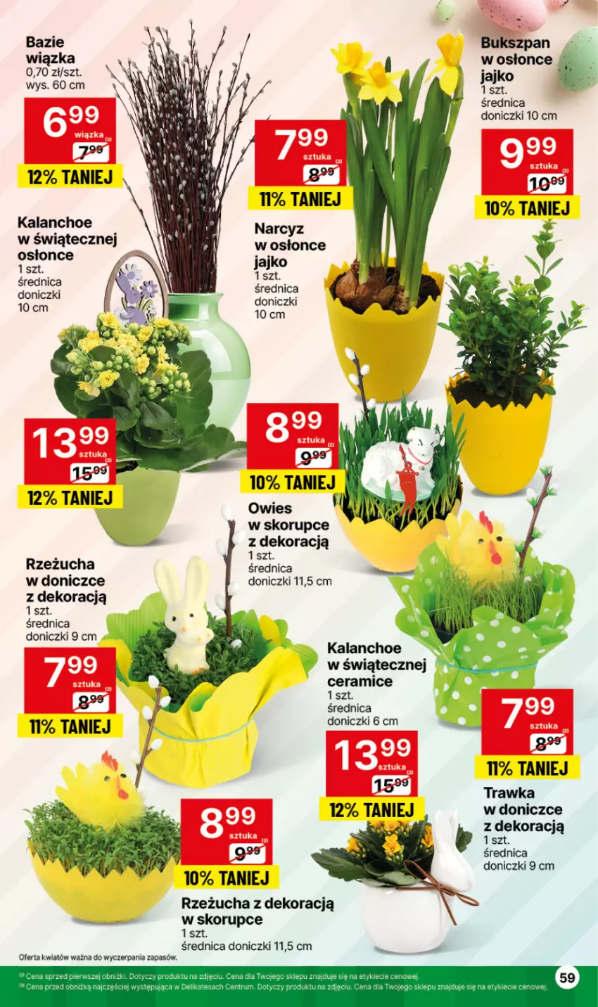 Gazetka promocyjna Delikatesy Centrum - NOWA GAZETKA Delikatesy Centrum od 25 marca! 25-31.03.2024 - ważna 25.03 do 31.03.2024 - strona 59 - produkty: Kalanchoe, Narcyz, Rzeżucha