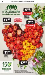 Gazetka promocyjna Netto - Artykuły spożywcze - Gazetka - ważna od 21.06 do 21.06.2023 - strona 4 - produkty: Zioła w doniczce, Pomidor malinowy