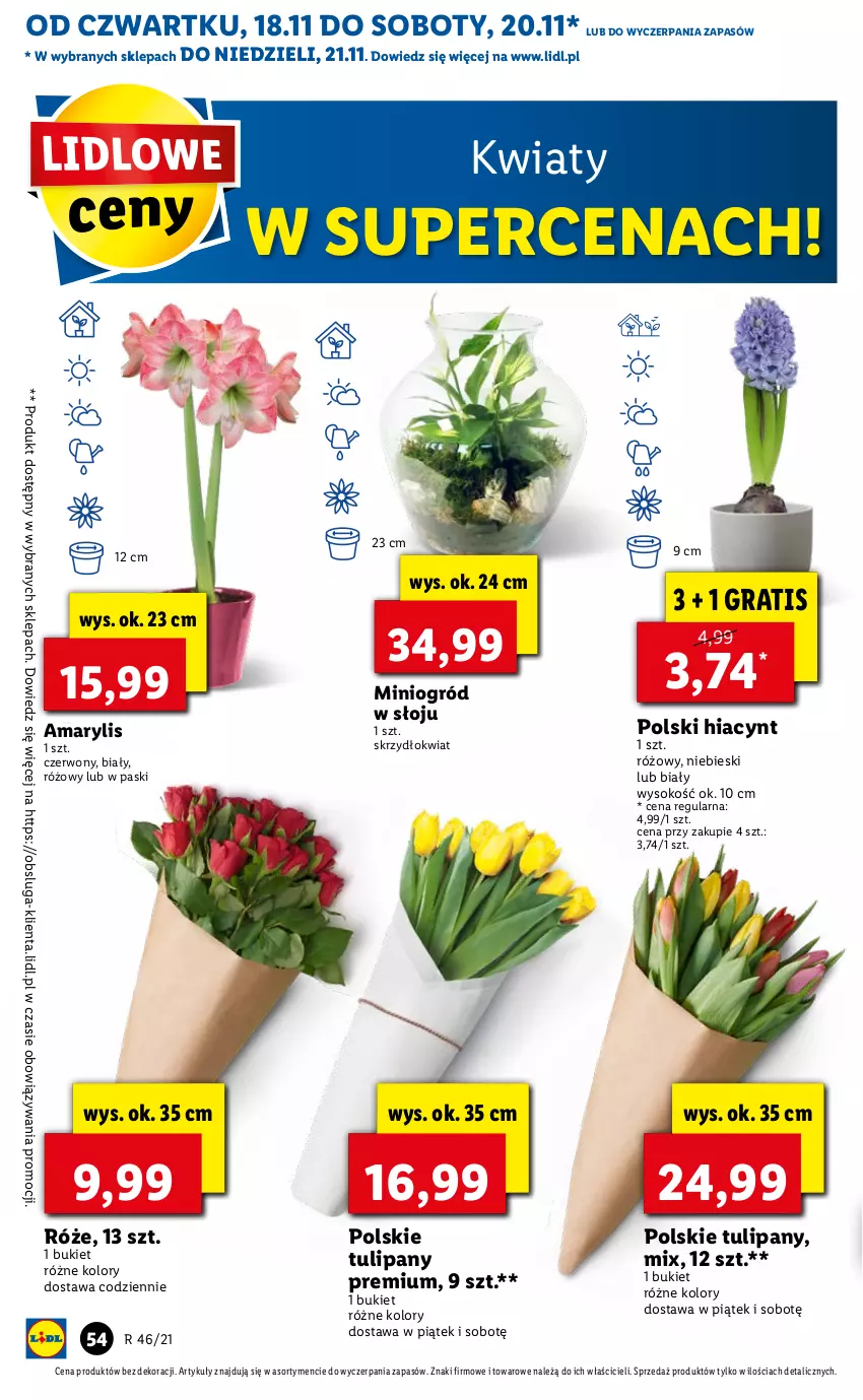 Gazetka promocyjna Lidl - GAZETKA OD 18.11 DO 21.11 - ważna 18.11 do 21.11.2021 - strona 54 - produkty: Amarylis, Bukiet, Gra, Hiacynt, Ogród, Sok, Tulipan