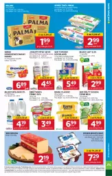 Gazetka promocyjna Stokrotka - Supermarket - Gazetka - ważna od 23.10 do 23.10.2024 - strona 11 - produkty: Ser topiony, Top, Ser, Rama, Jogurt, Serek homogenizowany, Palma, Serek, Farm Milk, Hochland, Danio, Deser, Twój Smak, Gouda, Jogurt pitny, Monte, Mleko, HP, Fa