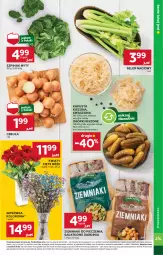 Gazetka promocyjna Stokrotka - Supermarket - Gazetka - ważna od 23.10 do 23.10.2024 - strona 7 - produkty: Piec, Cebula, Kwiaty cięte, Ziemniaki, Sałat, Seler naciowy, Szpinak, HP