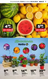 Gazetka promocyjna Netto - Artykuły spożywcze - Gazetka - ważna od 20.04 do 20.04.2024 - strona 7 - produkty: Dzwonek, Arbuz