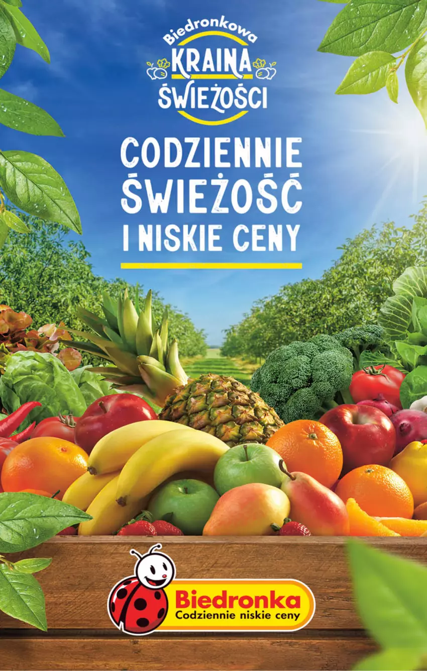 Gazetka promocyjna Biedronka - Od poniedzialku - ważna 03.07 do 08.07.2023 - strona 49