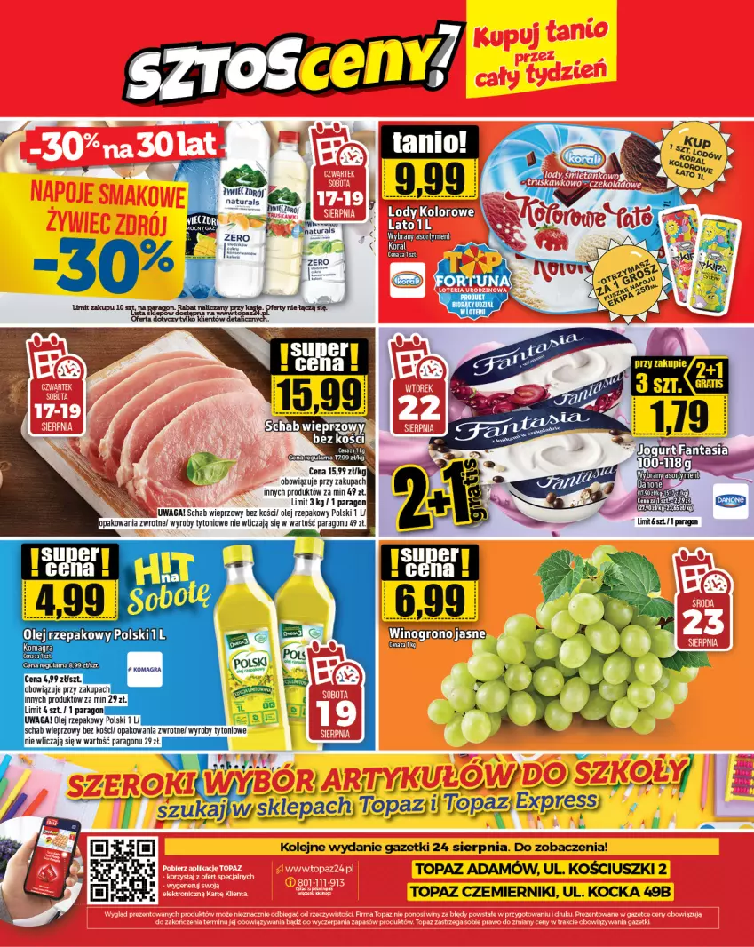 Gazetka promocyjna Topaz - Gazetka - ważna 17.08 do 23.08.2023 - strona 24 - produkty: Danone, Gra, Koc, Olej, Olej rzepakowy, Schab wieprzowy, Top, Waga