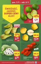 Gazetka promocyjna Aldi - Pełna oferta - Gazetka - ważna od 08.11 do 08.11.2025 - strona 5 - produkty: Gruszki, Limonka, Pomidory