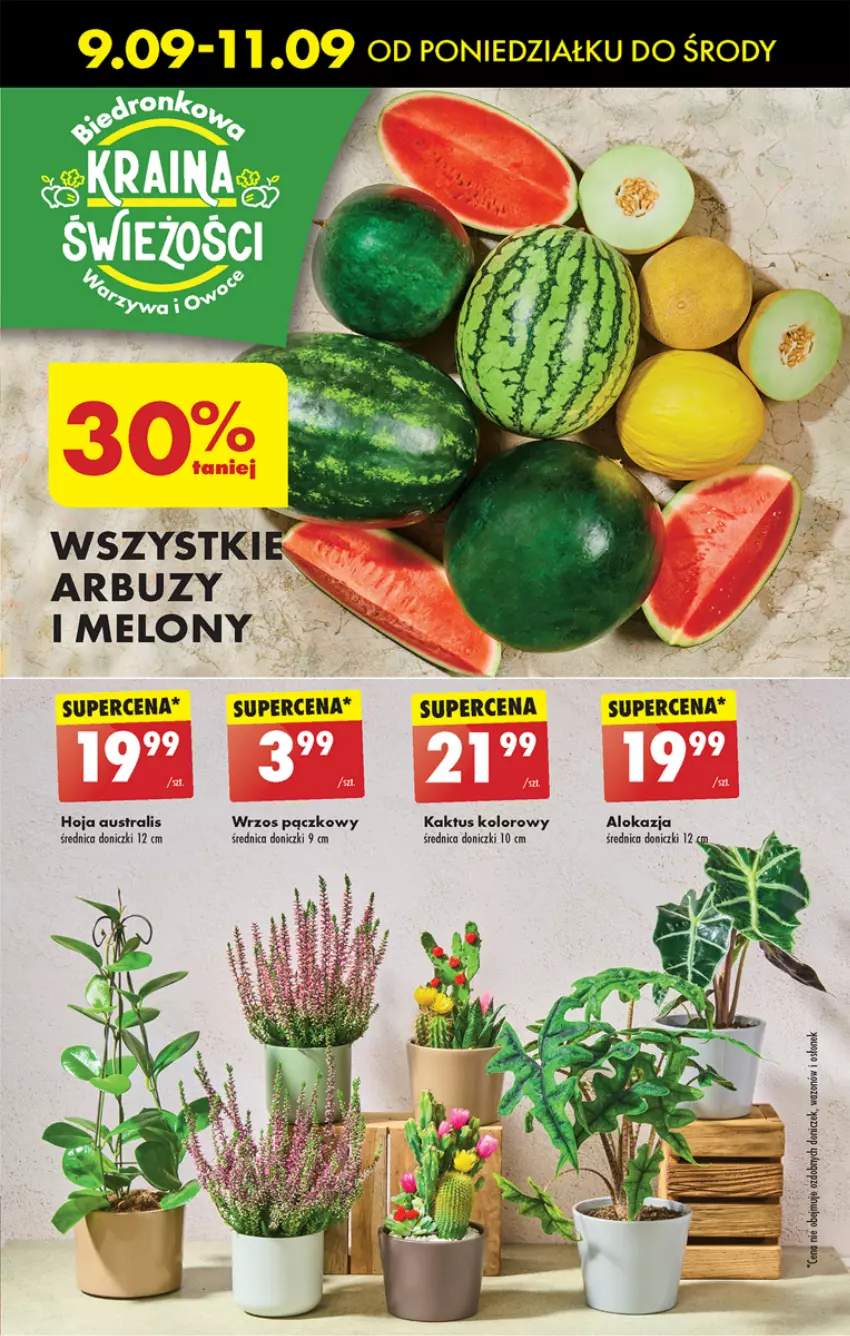 Gazetka promocyjna Biedronka - Od poniedzialku - ważna 09.09 do 14.09.2024 - strona 27 - produkty: Arbuz, Kaktus, Melon