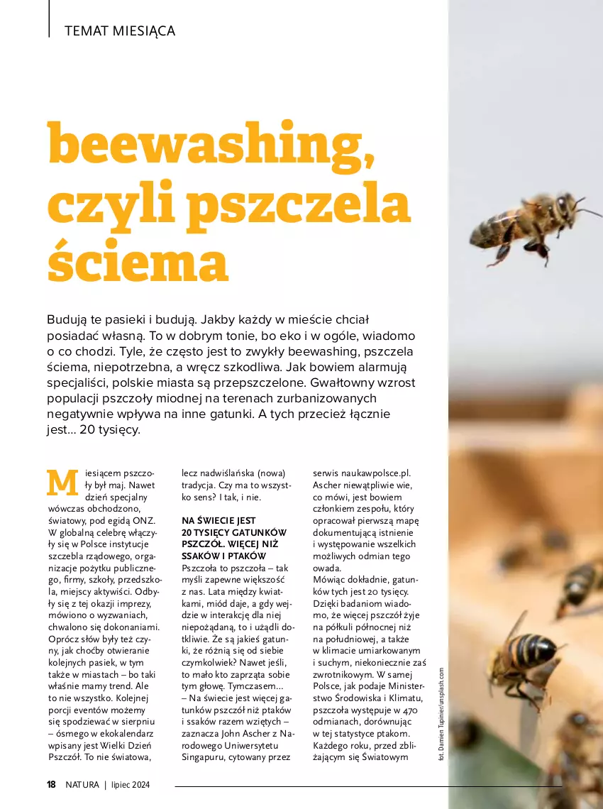 Gazetka promocyjna Drogerie Natura - Gazetka Drogerie Natura - ważna 01.07 do 31.07.2024 - strona 18 - produkty: Danio, Kalendarz, Miód, Olej, Piec, Por, Pur, Ser, Tera