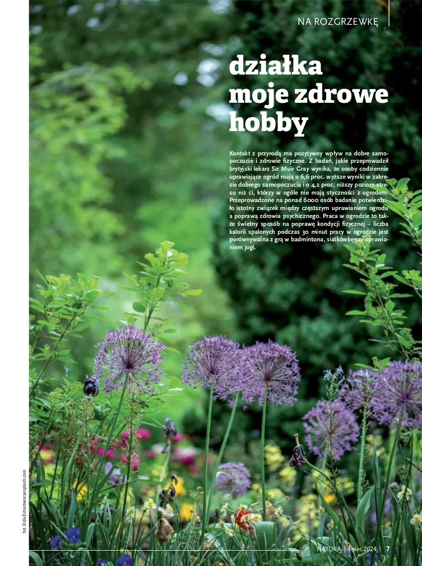 Gazetka promocyjna Drogerie Natura - Gazetka Drogerie Natura - ważna 01.07 do 31.07.2024 - strona 7 - produkty: Gra, Hobby, Mop, Ogród, Piec, Por, Zdrowie