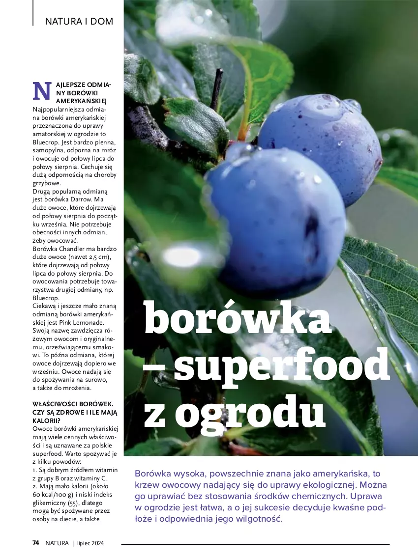 Gazetka promocyjna Drogerie Natura - Gazetka Drogerie Natura - ważna 01.07 do 31.07.2024 - strona 74 - produkty: Borówka, Gin, LG, Mop, Owoce, Piec, Por, Sok