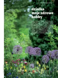 Gazetka promocyjna Drogerie Natura - Gazetka Drogerie Natura - Gazetka - ważna od 31.07 do 31.07.2024 - strona 7 - produkty: Piec, Por, Mop, Gra, Zdrowie, Ogród, Hobby