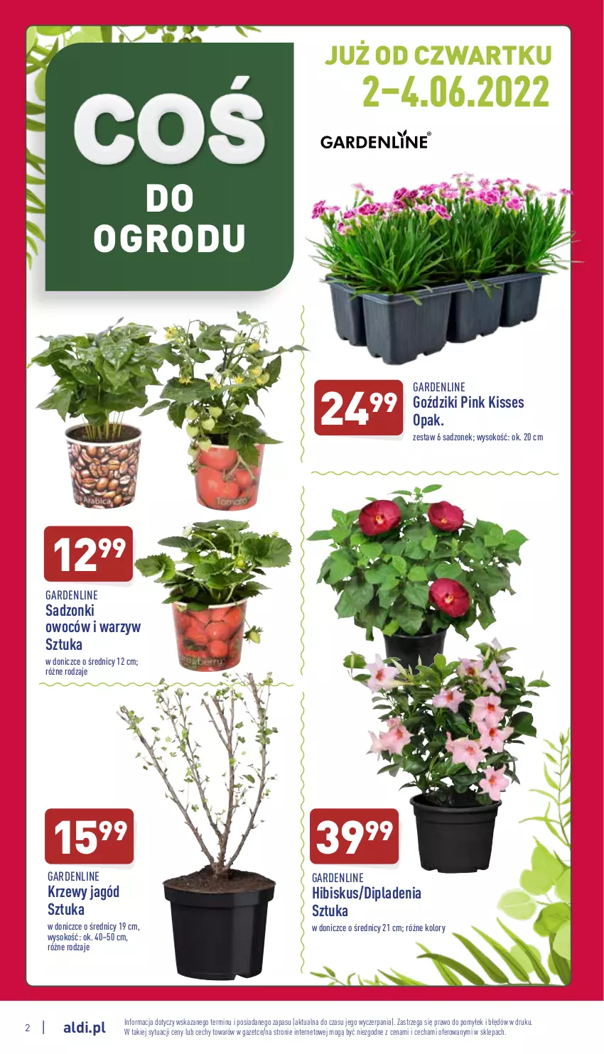 Gazetka promocyjna Aldi - Zaplanuj zakupy wcześniej - ważna 01.06 do 04.06.2022 - strona 2 - produkty: Hibiskus, Sok