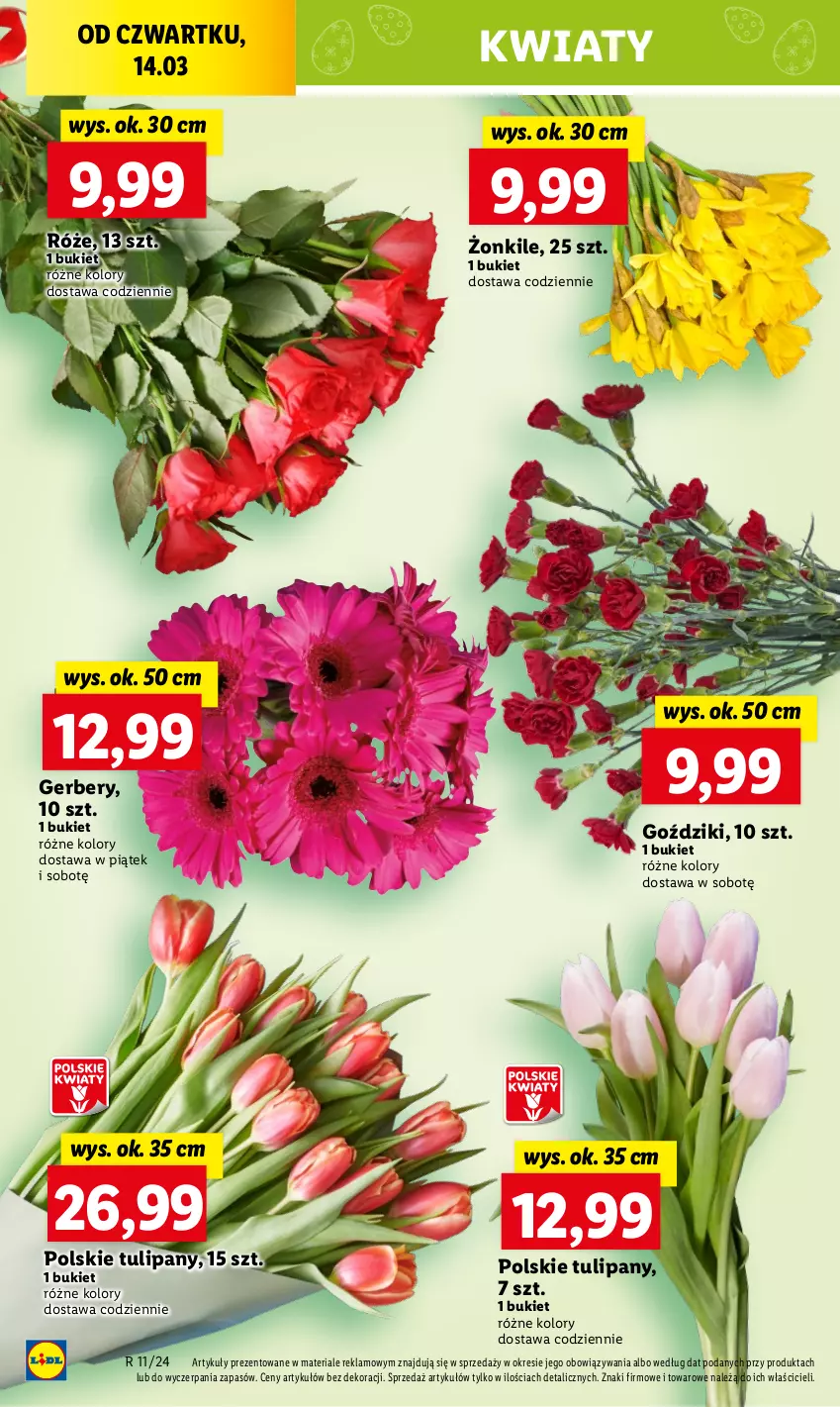 Gazetka promocyjna Lidl - GAZETKA - ważna 14.03 do 16.03.2024 - strona 64 - produkty: Bukiet, Gerber, Tulipan