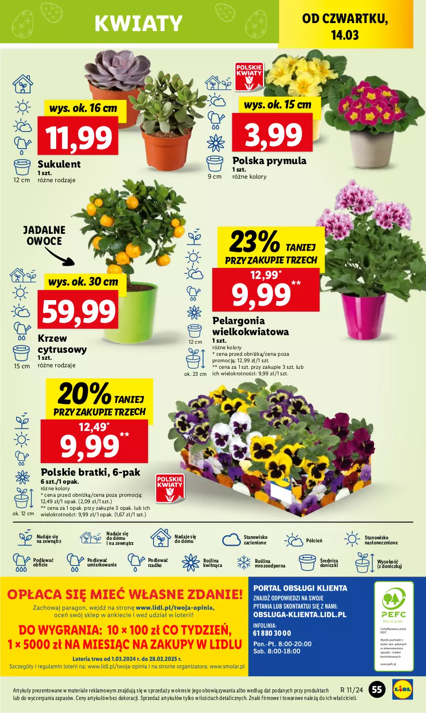 Gazetka promocyjna Lidl - GAZETKA - ważna 14.03 do 16.03.2024 - strona 65 - produkty: Cień, O nas, Owoce, Por, Prymula, Sok, Sukulent