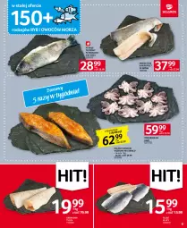 Gazetka promocyjna Selgros - Oferta spożywcza - Gazetka - ważna od 31.05 do 31.05.2023 - strona 9 - produkty: Halibut, Pstrąg tęczowy, Grenadier, Kawa, Tusz, Pstrąg