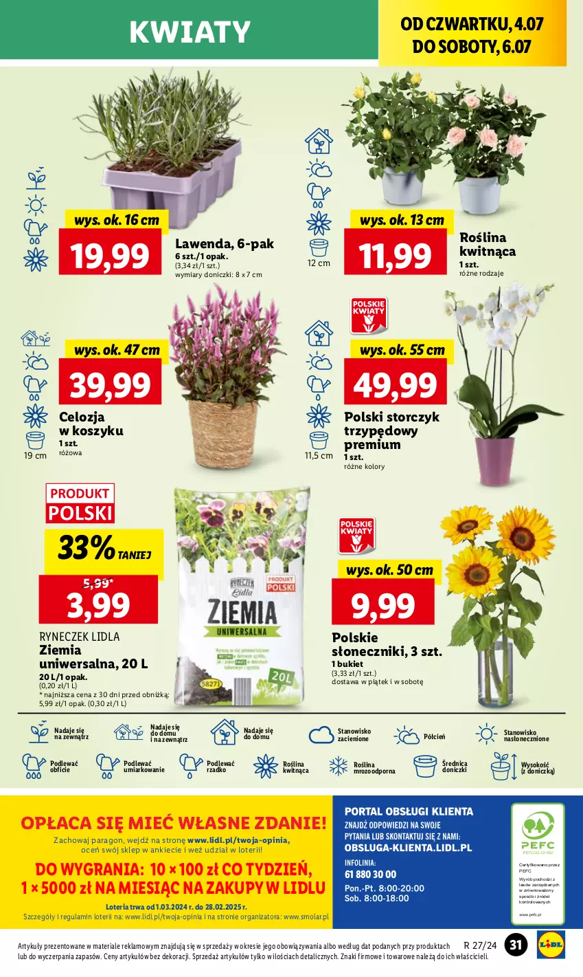 Gazetka promocyjna Lidl - GAZETKA - ważna 04.07 do 06.07.2024 - strona 39 - produkty: Bukiet, Cień, Gra, Kosz, Mola, O nas, Por, Sok, Storczyk