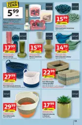 Gazetka promocyjna Auchan - Gazetka 30 Lat Hipermarket Auchan - Gazetka - ważna od 14.01 do 14.01.2026 - strona 11 - produkty: Kosz, Wazon, Sukulent