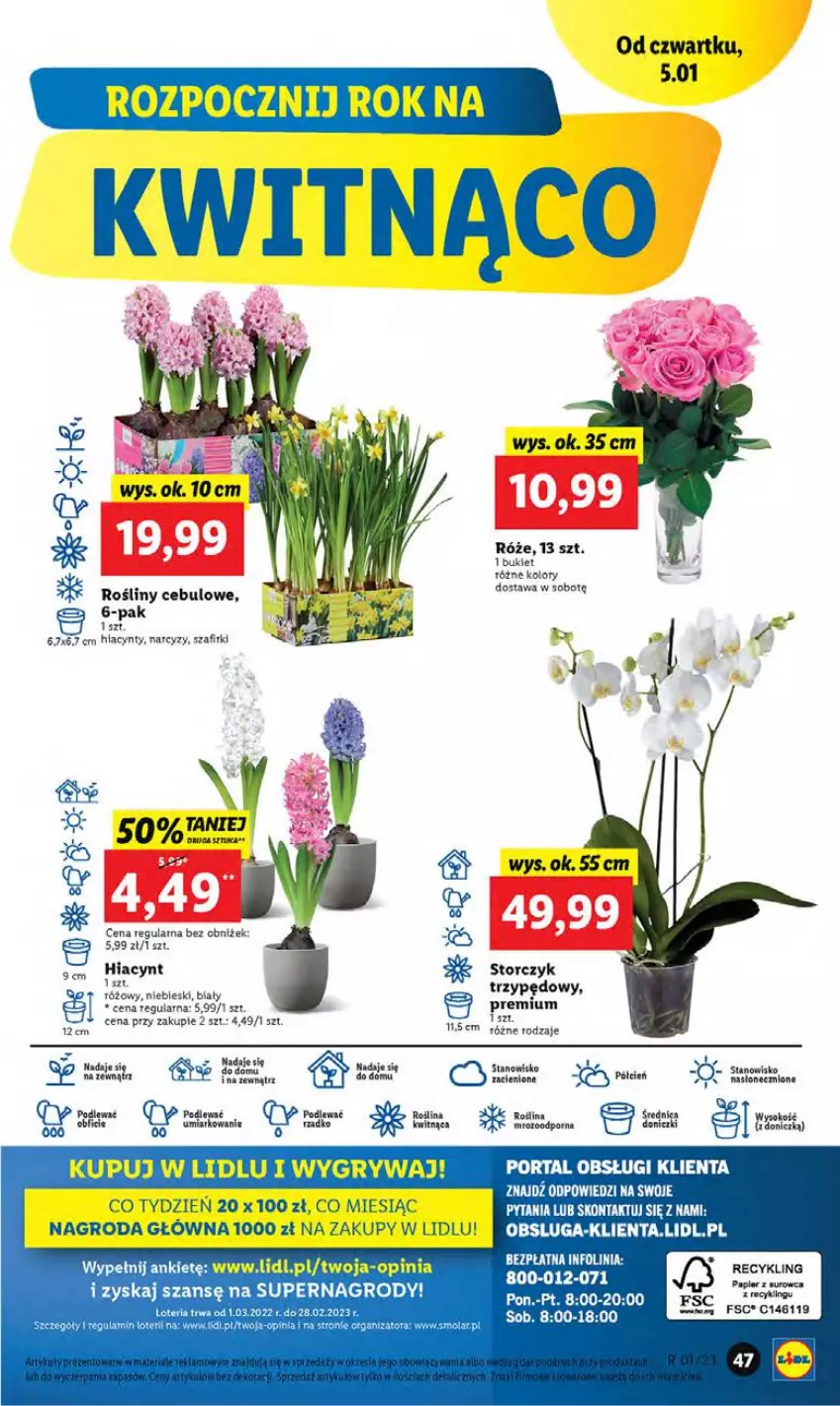 Gazetka promocyjna Lidl - GAZETKA - ważna 05.01 do 07.01.2023 - strona 49 - produkty: Bukiet, Cień, Gry, Hiacynt, Masło, Narcyz, Papier, Por, Portal, Storczyk