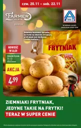 Gazetka promocyjna Aldi - Pełna oferta - Gazetka - ważna od 22.11 do 22.11.2025 - strona 46 - produkty: Ziemniaki, Tera, Frytki