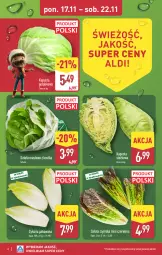Gazetka promocyjna Aldi - Pełna oferta - Gazetka - ważna od 22.11 do 22.11.2025 - strona 6 - produkty: Sałata masłowa, Sałat, Masło