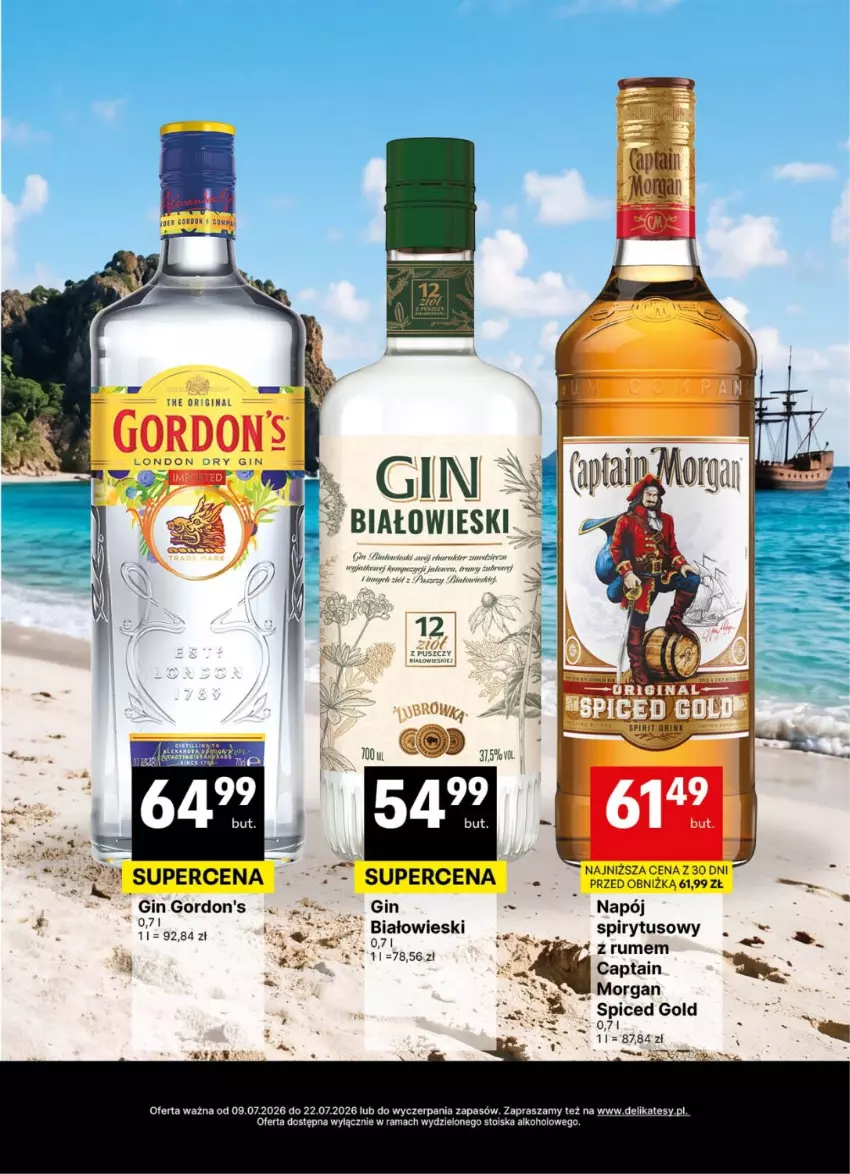 Gazetka promocyjna Delikatesy Centrum - Delibarek DC26-DC27 - ważna 09.07 do 22.07.2026 - strona 17 - produkty: Gin, Gordon's, Napój, Rama, Rosie