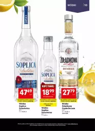 Gazetka promocyjna Delikatesy Centrum - Delibarek DC26-DC27 - Gazetka - ważna od 22.07 do 22.07.2026 - strona 10 - produkty: Rama, Soplica, Wódka