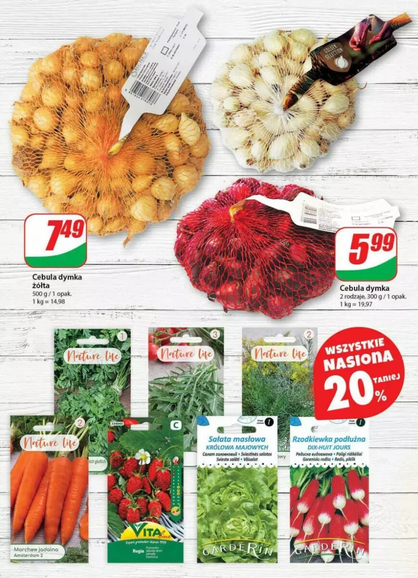 Gazetka promocyjna Dino - ważna 10.01 do 16.01.2024 - strona 37 - produkty: Cebula, Masło, Rzodkiewka, Sałat, Sałata masłowa