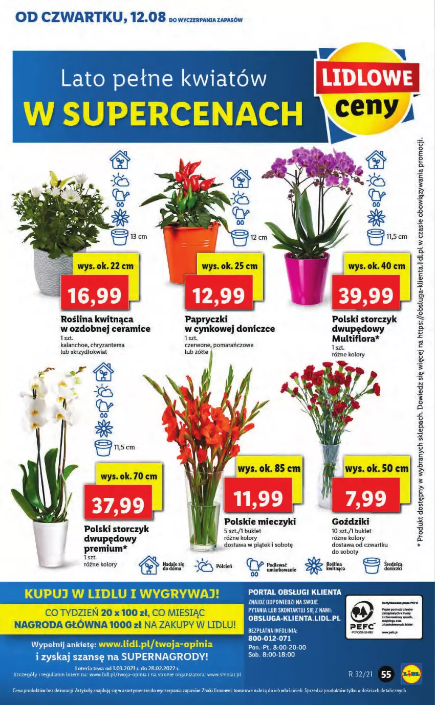 Gazetka promocyjna Lidl - GAZETKA - ważna 12.08 do 14.08.2021 - strona 55 - produkty: Gry, Mola