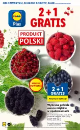 Gazetka promocyjna Lidl - GAZETKA - Gazetka - ważna od 14.08 do 14.08.2021 - strona 8 - produkty: Por, Jeżyny, Porzeczki czerwone, Maliny, Owoce