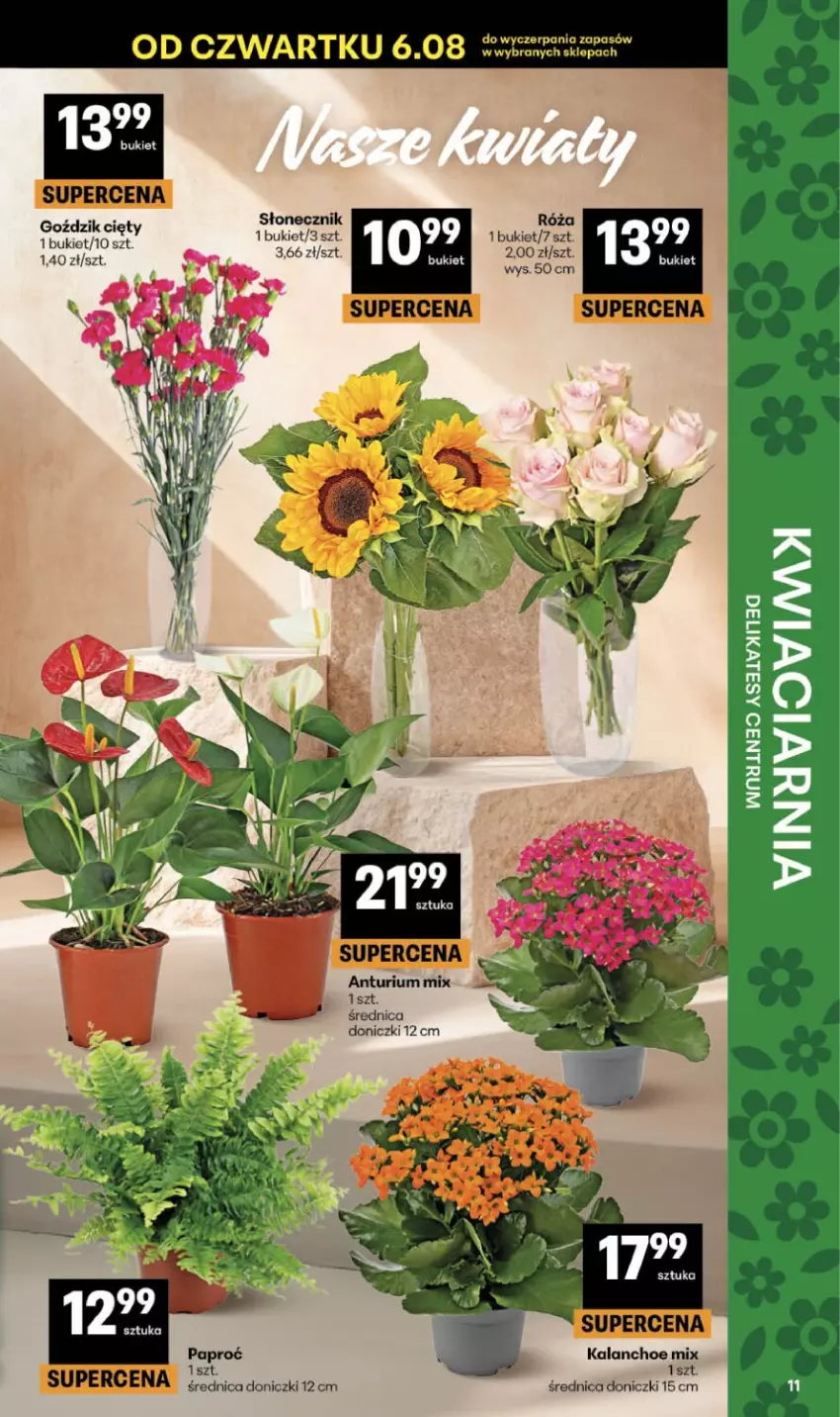 Gazetka promocyjna Delikatesy Centrum - Franczyza DC32 Czwartek - ważna 06.08 do 12.08.2026 - strona 11 - produkty: Bukiet, Kalanchoe, Róża