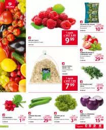 Gazetka promocyjna Selgros - Oferta gastronomiczna - Gazetka - ważna od 12.07 do 12.07.2023 - strona 2 - produkty: Cebula czerwona, Sałatka, Cebula, Pietruszka, Fasoli mung, Salsa, Sałat, Kiełki, Maliny, Rzodkiewka, Fa