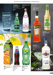 Gazetka promocyjna Selgros - Oferta gastronomiczna - Gazetka - ważna od 06.04 do 06.04.2022 - strona 13 - produkty: Sok pomarańczowy, Acqua Panna, Sok, Vermouth, Somersby, Martini, Coca-Cola, Napoje, Pepsi, Fanta, Woda, Sprite, Cisowianka, Aperol, Fa